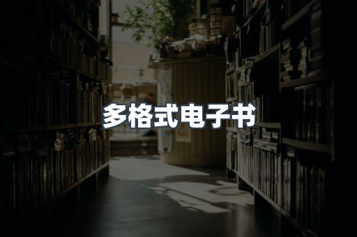 海外电子书